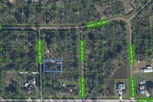 104 Tobler Terrace NW, Lake Placid, FL 33852 - Photo 6