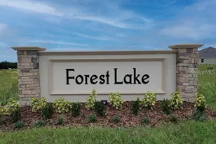 1847 Buckeye Rd, Davenport, FL 33837 - Photo 2