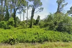 432 Branbury Ave, Lake Placid, FL 33852 - Photo 1