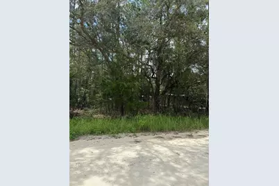 4500 SW 175 Court, Dunnellon, FL 34432 - Photo 2