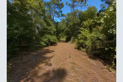 5350 Osceola Drive, Saint Cloud, FL 34773 - Photo 30