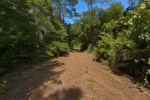 5350 Osceola Dr, Saint Cloud, FL 34773 - Photo 30