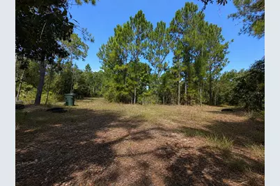 5350 Osceola Drive, Saint Cloud, FL 34773 - Photo 32