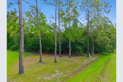 Mustang, Saint Cloud, FL 34771 - Photo 4