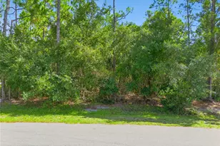 Mustang, Saint Cloud, FL 34771 - Photo 1