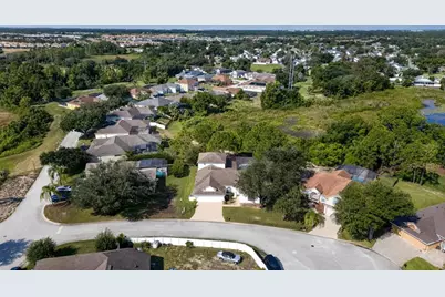 219 Blue Heron Court, Davenport, FL 33837 - Photo 42