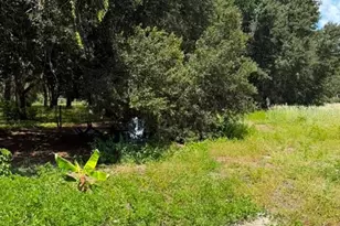 10217 Quinn Rd, Polk City, FL 33868 - Photo 4