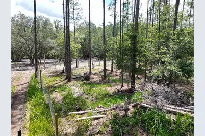 8186 SW 155 Street, Dunnellon, FL 34432 - Photo 10