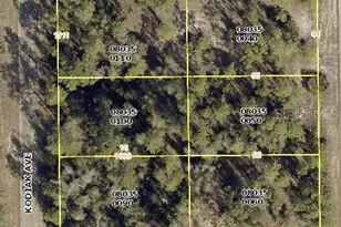 1015 Kodiak Ave, Lehigh Acres, FL 33974 - Photo 1