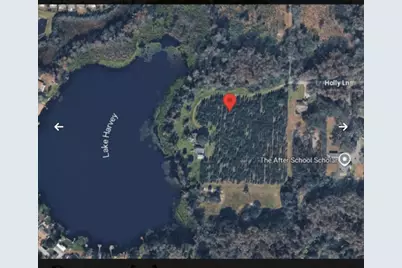 Holly Lane, Lutz, FL 33558 - Photo 4