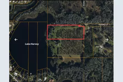 Holly Lane, Lutz, FL 33558 - Photo 2