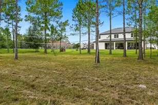 19118 Palmland St, Orlando, FL 32833 - Photo 74