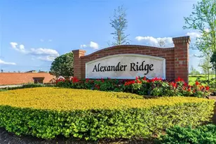 2204 Romanum Dr, Winter Garden, FL 34787 - Photo 46