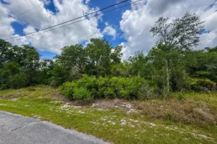 1334 Tallahassee Ct, Poinciana, FL 34759 - Photo 2