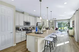 5316 Spring Maiden Circle, Apollo Beach, FL 33572 - Photo 4