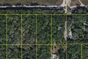 Undetermined, Dunnellon, FL 34432 - Photo 1