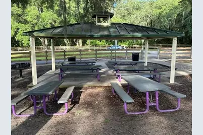 1988 Ancient Oak, Ocoee, FL 34761 - Photo 46