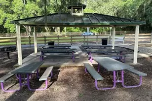 1988 Ancient Oak, Ocoee, FL 34761 - Photo 46