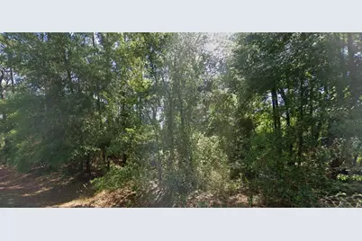 Lot 84 SE 99th Avenue, Belleview, FL 34420 - Photo 2
