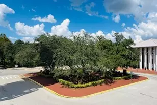 323 Celebration Blvd, Celebration, FL 34747 - Photo 64
