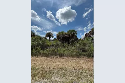 709 Saltwater Street SW, Palm Bay, FL 32908 - Photo 4