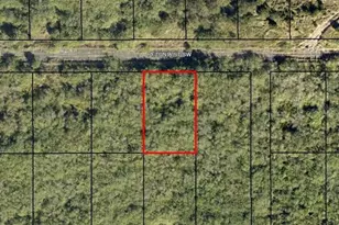 1574 Petunia St SW, Palm Bay, FL 32908 - Photo 1