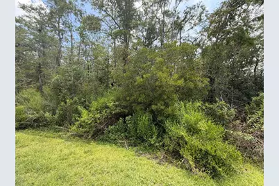 Tunbridge Street, Orlando, FL 32833 - Photo 1