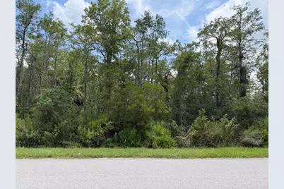 Tunbridge Street, Orlando, FL 32833 - Photo 2