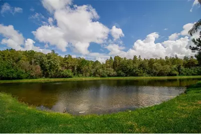 14215 Wistful Loop, Orlando, FL 32824 - Photo 44