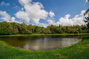 14215 Wistful Loop, Orlando, FL 32824 - Photo 44
