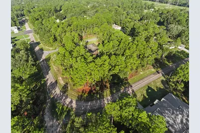 6698 N Foxdale Drive, Citrus Springs, FL 34434 - Photo 10