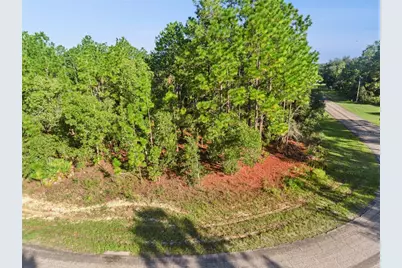 6698 N Foxdale Drive, Citrus Springs, FL 34434 - Photo 4