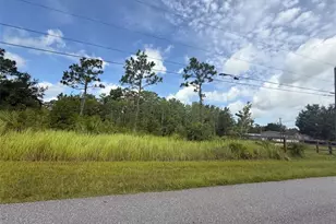 Topeka Ave, Saint Cloud, FL 34773 - Photo 4