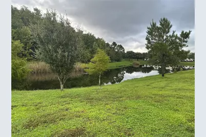 4961 Pall Mall Street E, Kissimmee, FL 34758 - Photo 48