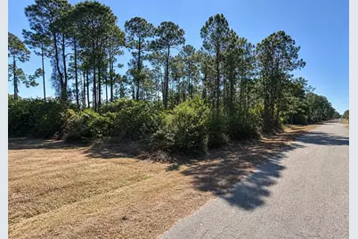3001 E 21st Street, Alva, FL 33920 - Photo 2