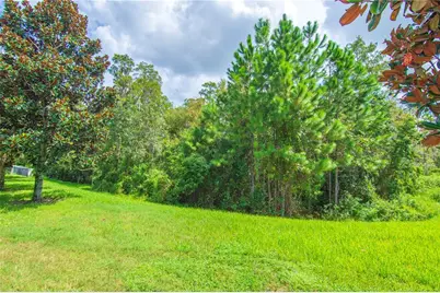 8091 Bowery Drive, Winter Garden, FL 34787 - Photo 36