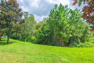 8091 Bowery Dr, Winter Garden, FL 34787 - Photo 36