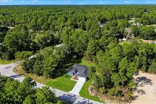 11038 N Frantz Ave, Dunnellon, FL 34434 - Photo 54