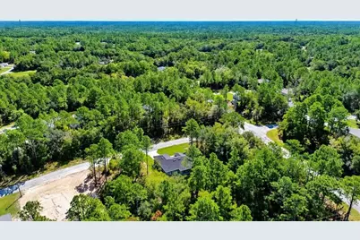 11038 N Frantz Avenue, Dunnellon, FL 34434 - Photo 52