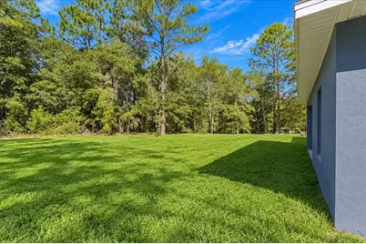 11038 N Frantz Avenue, Dunnellon, FL 34434 - Photo 44