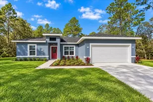 11038 N Frantz Ave, Dunnellon, FL 34434 - Photo 8