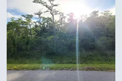 Pierre Avenue #Lot 162, Saint Cloud, FL 34773 - Photo 2
