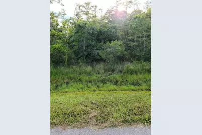 Pierre Avenue #Lot 162, Saint Cloud, FL 34773 - Photo 4