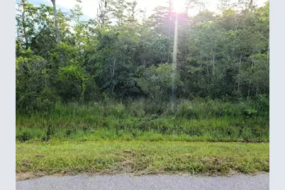 Pierre Avenue #Lot 162, Saint Cloud, FL 34773 - Photo 6