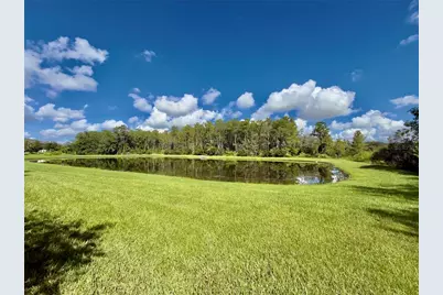 10805 Wyne Tree Court, Orlando, FL 32824 - Photo 36