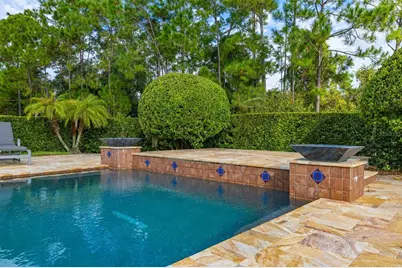 10330 Royal Cypress Way, Orlando, FL 32836 - Photo 70