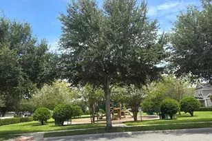 15717 Kinnow Mandarin Ln, Winter Garden, FL 34787 - Photo 52