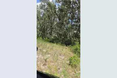 416 N Walker Road, Avon Park, FL 33825 - Photo 2