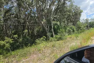 416 N Walker Rd, Avon Park, FL 33825 - Photo 1