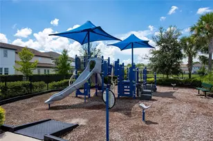11543 Charnock Dr, Windermere, FL 34786 - Photo 12